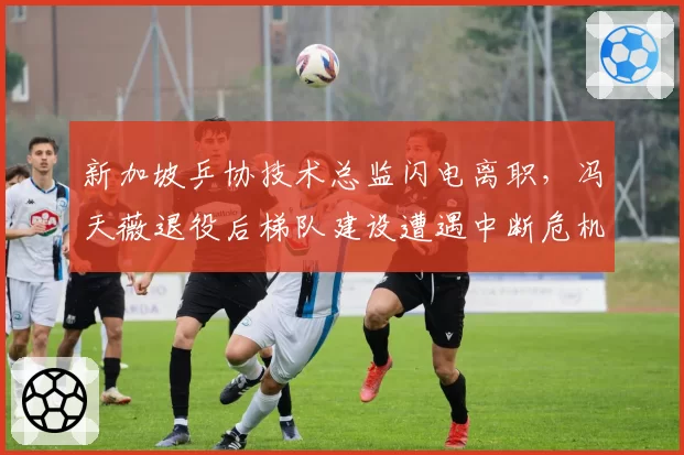 新加坡乒协技术总监闪电离职,冯天薇退役后梯队建设遭遇中断危机?