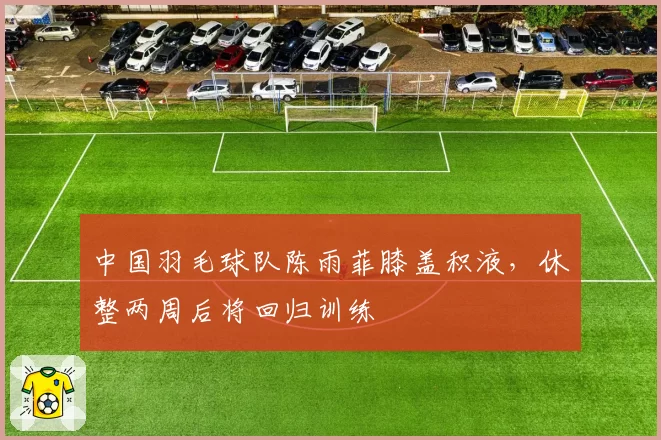 中国羽毛球队陈雨菲膝盖积液,休整两周后将回归训练